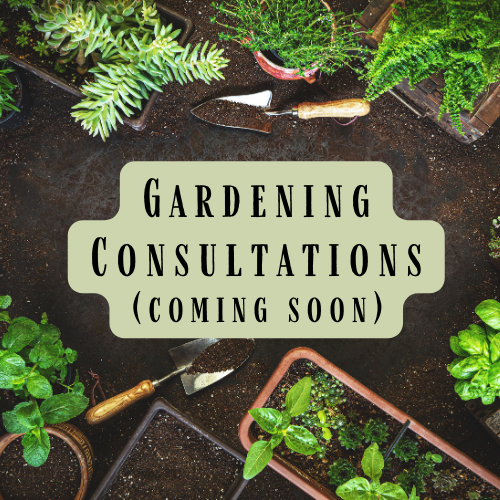Virtual Gardening Consultations