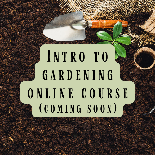 5-Part Gardening Series: Building Confidence for Aspiring Gardeners