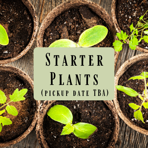 Naturally Grown Starter Plants